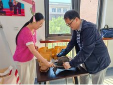 和于术数”“五行”等中医基础理论为出