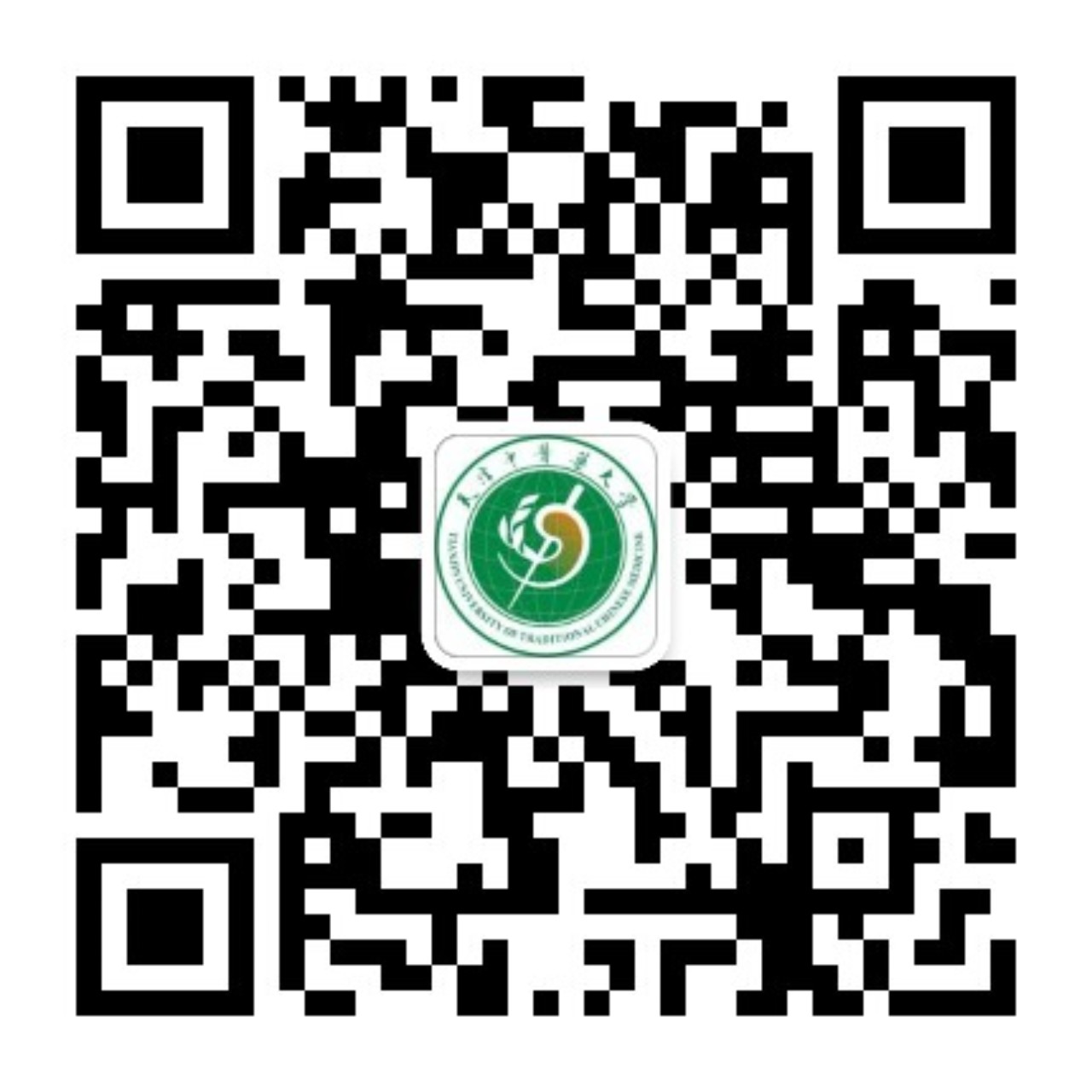 组织纪律